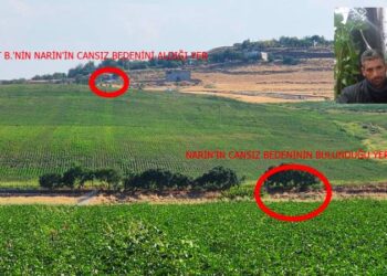 Narin cinayeti: İtirafçının kırmızı otomobili, Narin’in bulunduğu derenin yakınında 50 dakika kalmış