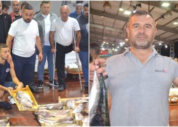 Kocaeli’nde yeni sezonun ilk balık mezadı: Hamsinin kasası 3 bin lira