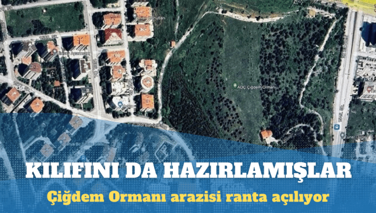 Çiğdem Ormanı arazisi ranta açılıyor