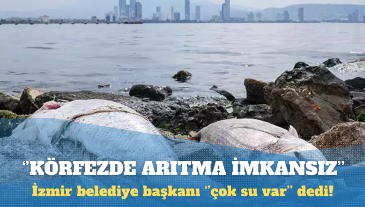 İzmir belediye başkanına göre körfezde arıtma imkansız