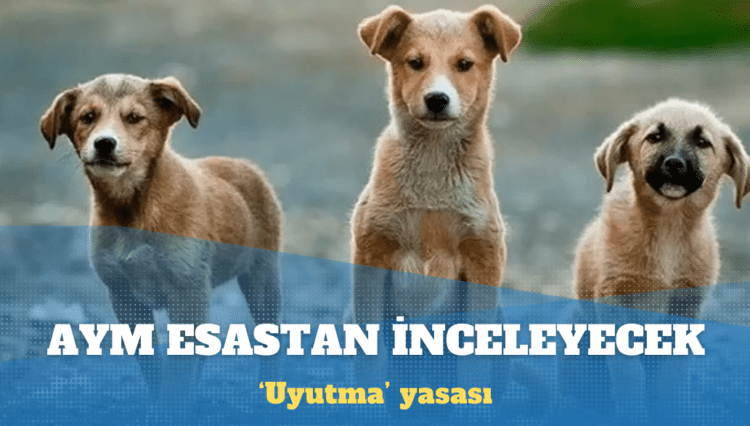 AYM ‘uyutma’ yasasını esastan inceleyecek