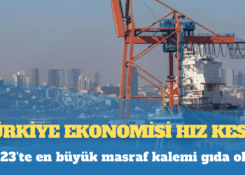 Türkiye ekonomisi hız kesti