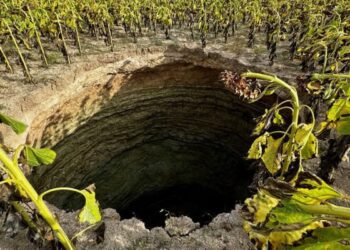 Ayçiçeği tarlasında 20 metre derinliğinde obruk oluştu