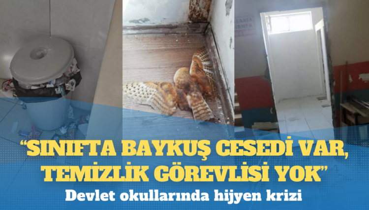 Devlet okullarında hijyen krizi: ‘Sınıfta baykuş cesedi var, temizlik görevlisi yok’