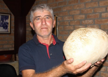 Antalya’da 8 kilo 200 gram ağırlığında mantar bulundu