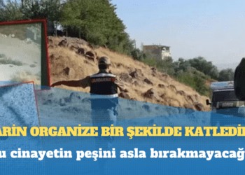 Dem Parti: Narin organize bir şekilde katledildi