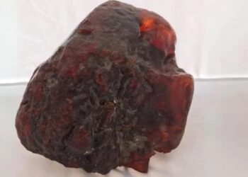 Milyon dolarlık ‘kapı tutucu’