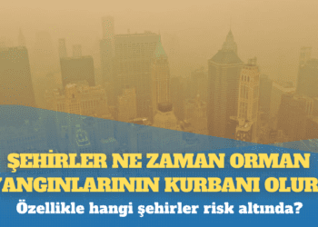 Şehirler orman yangınlarından nasıl korunabilir?