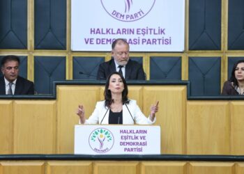 DEM Parti Eş Genel Başkanı Hatimoğulları: Kadınlar IŞIDvari yöntemlerle katlediliyor