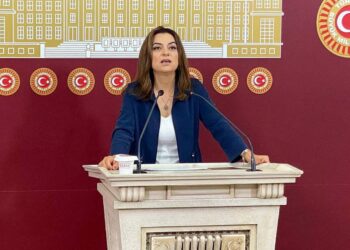 DEM Partili Koçyiğit: Bir merhabadan çözüm süreci çıkmaz