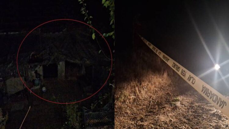 16 yaşındaki çocuk, dedesini, dedesinin birlikte yaşadığı kadını ve evdeki 1 kişiyi öldürdü