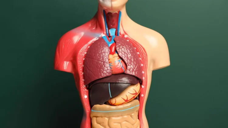 Dünyada ilk olan bir vaka ‘Giresun Sendromu’ adıyla tıp literatürüne girdi