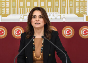 DEM Parti’den Koçyiğit, Bahçeli ile tokalaşmaya dair konuştu: Şimdiye kadar olmaması yanlıştı