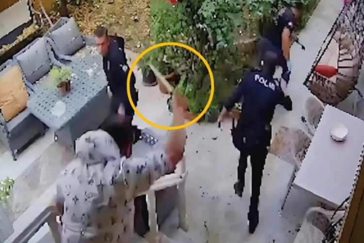 Yaşananlar kamerada: Eve gelen polis memurunu bıçakladı