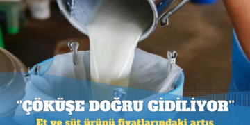 Et ve süt ürünü fiyatlarındaki artış: Çöküşe doğru gidiliyor