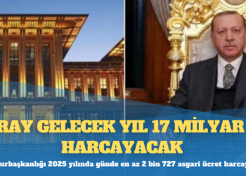 Cumhurbaşkanlığı 2025 yılında günde en az 2 bin 727 asgari ücret harcayacak