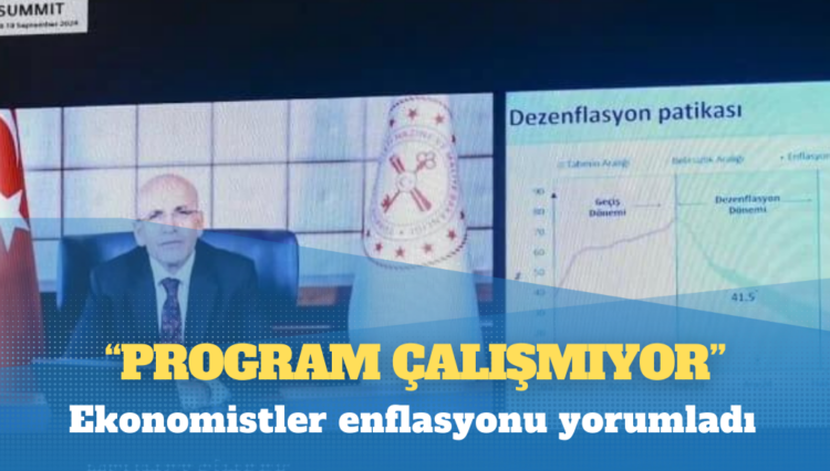Ekonomistler enflasyonu yorumladı: Program çalışmıyor