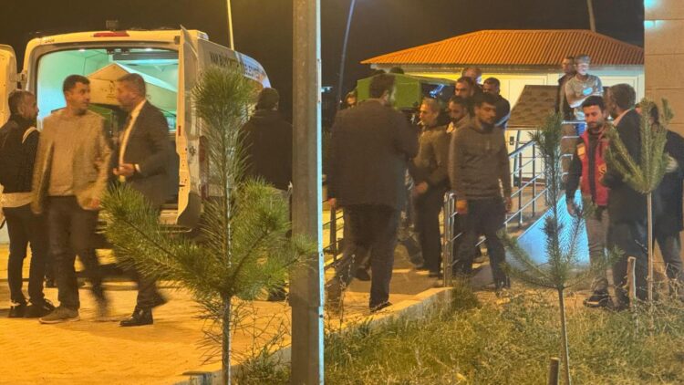 Rojin Kabaiş’in cenazesi ailesine teslim edildi