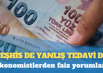 Ekonomistlerden faiz yorumları: Teşhis de yanlış tedavi de
