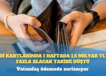 Rojin’in babası: Otopsi raporunda ‘suda boğulma’ yok