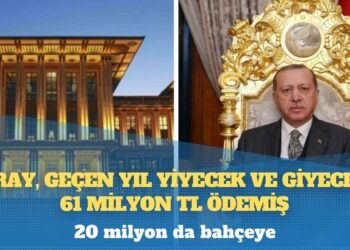 ‘Dezenformasyon Yasası’ bilançosu: 4 bin 590 kişi hakkında soruşturma, 384 dava, 42 mahkumiyet