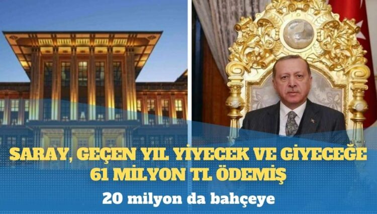 ‘Dezenformasyon Yasası’ bilançosu: 4 bin 590 kişi hakkında soruşturma, 384 dava, 42 mahkumiyet