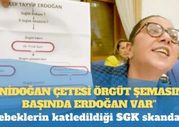 Sera Kadıgil: “Yenidoğan Çetesi örgüt şemasının başında Erdoğan var”