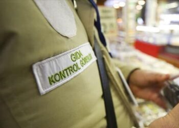 Taklit veya tağşiş yapılan gıdalar