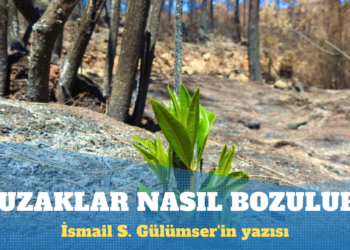 İsmail S. Gülümser’in yazısı: Olumlu çabalarla bozulan tuzaklar