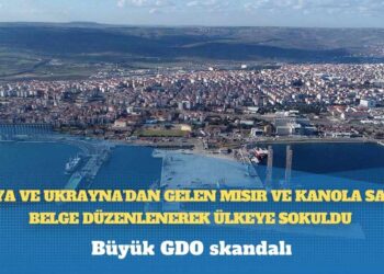 Büyük GDO skandalı: Rusya ve Ukrayna’dan gelen mısır ve kanola sahte belge düzenlenerek ülkeye sokuldu