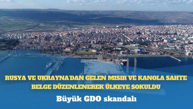 Büyük GDO skandalı: Rusya ve Ukrayna’dan gelen mısır ve kanola sahte belge düzenlenerek ülkeye sokuldu