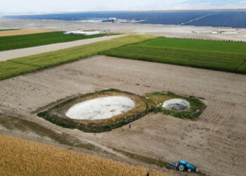 Büyük GDO skandalı: Rusya ve Ukrayna’dan gelen mısır ve kanola sahte belge düzenlenerek ülkeye sokuldu