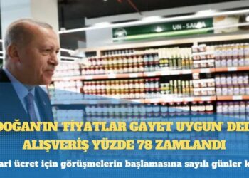 Büyük GDO skandalı: Rusya ve Ukrayna’dan gelen mısır ve kanola sahte belge düzenlenerek ülkeye sokuldu