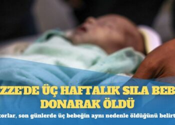 Bakırköy Cezaevi’nde aç bırakan tasarruf: Öğün sayısı 2’ye düşürüldü