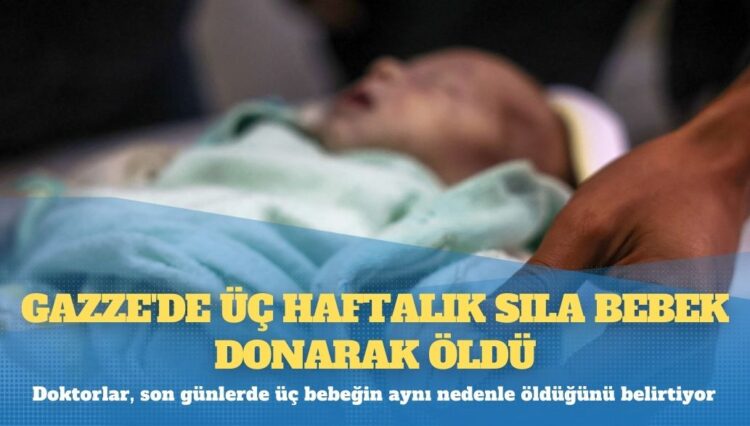 Bakırköy Cezaevi’nde aç bırakan tasarruf: Öğün sayısı 2’ye düşürüldü