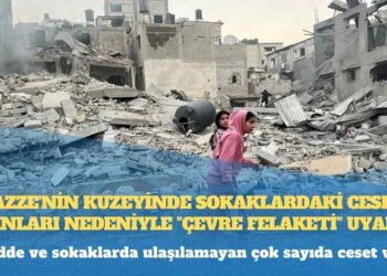 Almanya’dan Esad rejimi mensuplarına uyarı: ‘Gelirseniz yargılanırsınız’