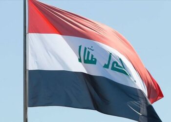 Araba kullanan kadını zehirli yılan ısırdı