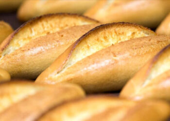 Almanya’da vize süreci 2025’de dijital oluyor