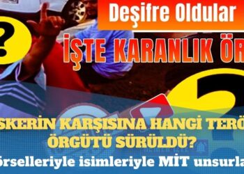 İlk kez: İşte isim isim sokaktaki caniler