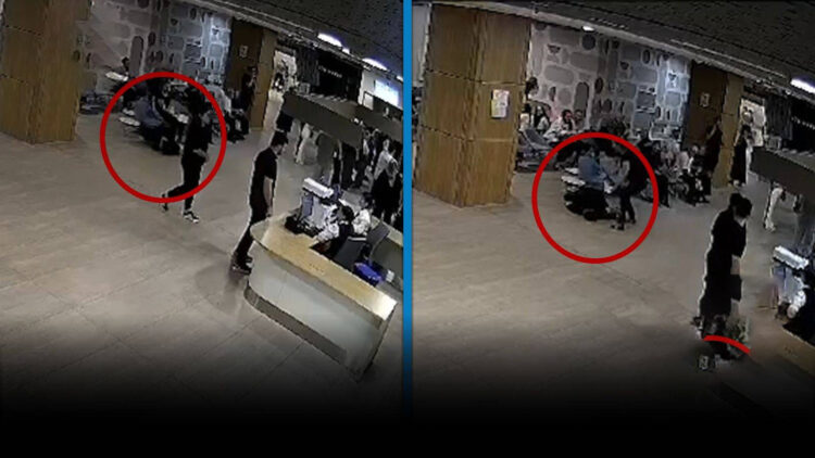 Büyük GDO skandalı: Rusya ve Ukrayna’dan gelen mısır ve kanola sahte belge düzenlenerek ülkeye sokuldu