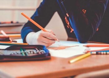 Büyük GDO skandalı: Rusya ve Ukrayna’dan gelen mısır ve kanola sahte belge düzenlenerek ülkeye sokuldu