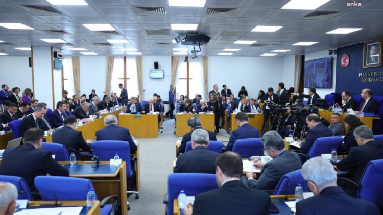 Araba kullanan kadını zehirli yılan ısırdı