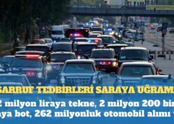 Araba kullanan kadını zehirli yılan ısırdı