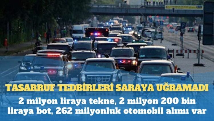 Araba kullanan kadını zehirli yılan ısırdı