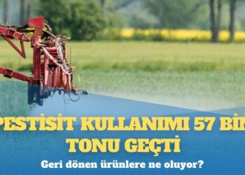 İstanbul’da ortalama kira 25 bine çıktı: 10 kiracıdan biri ödemede zorlanıyor