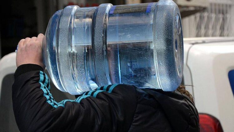 Araba kullanan kadını zehirli yılan ısırdı