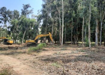 Diyarbakır Baro Başkanı Güleç: Narin Güran cinayeti davasında çıkan kararı istinafa götüreceğiz