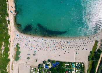 Altınköy Koyu yapılaşma tehdidi altında