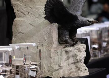 Beşiktaş erken seçime gidiyor