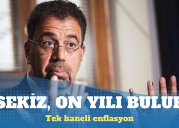 Acemoğlu: Enflasyonun tek haneye inmesi 10 yılı bulur
